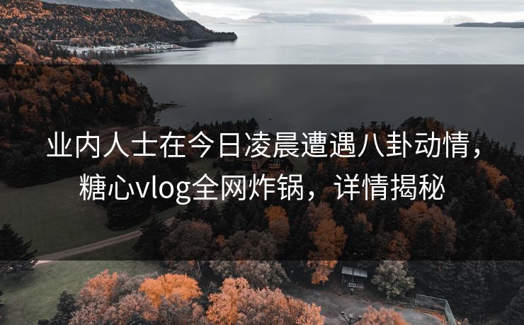 业内人士在今日凌晨遭遇八卦动情,糖心vlog全网炸锅,详情揭秘 业内人士在今日凌晨遭遇八卦动情,糖心vlog全网炸锅,详情揭秘