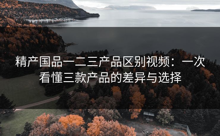 精产国品一二三产品区别视频：一次看懂三款产品的差异与选择