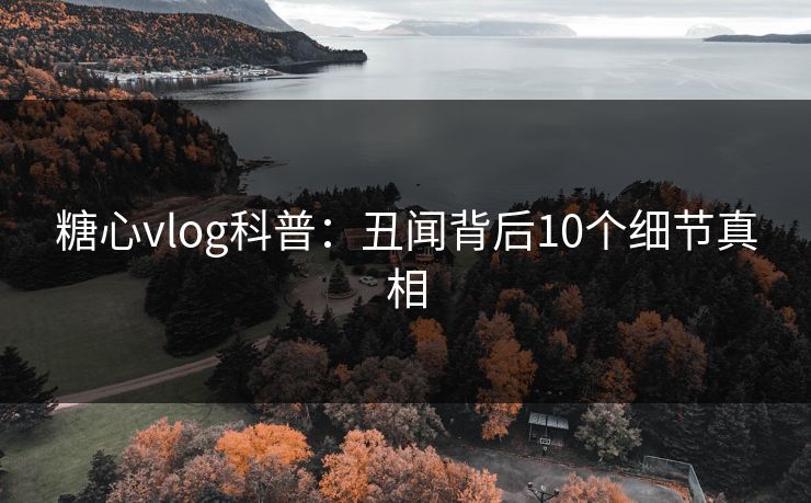 糖心vlog科普:丑闻背后10个细节真相 糖心vlog科普:丑闻背后10个细节真相
