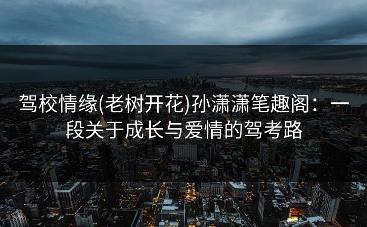 驾校情缘(老树开花)孙潇潇笔趣阁:一段关于成长与爱情的驾考路 驾校情缘(老树开花)孙潇潇笔趣阁:一段关于成长与爱情的驾考路