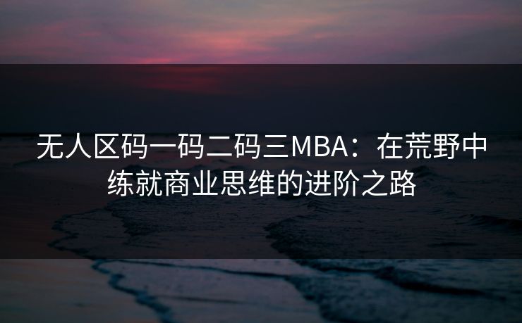 无人区码一码二码三MBA:在荒野中练就商业思维的进阶之路 无人区码一码二码三MBA:在荒野中练就商业思维的进阶之路